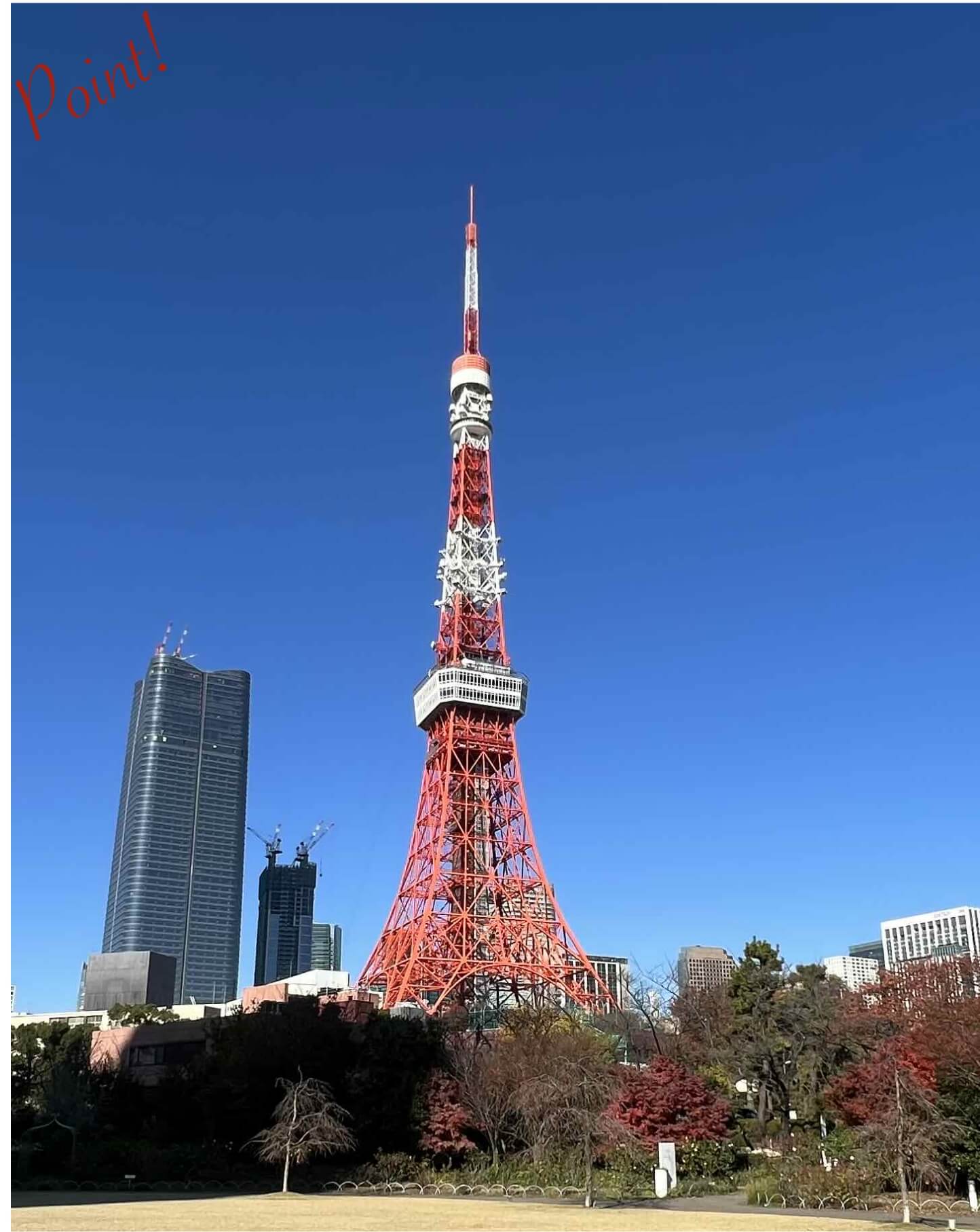 東京タワーの風景写真